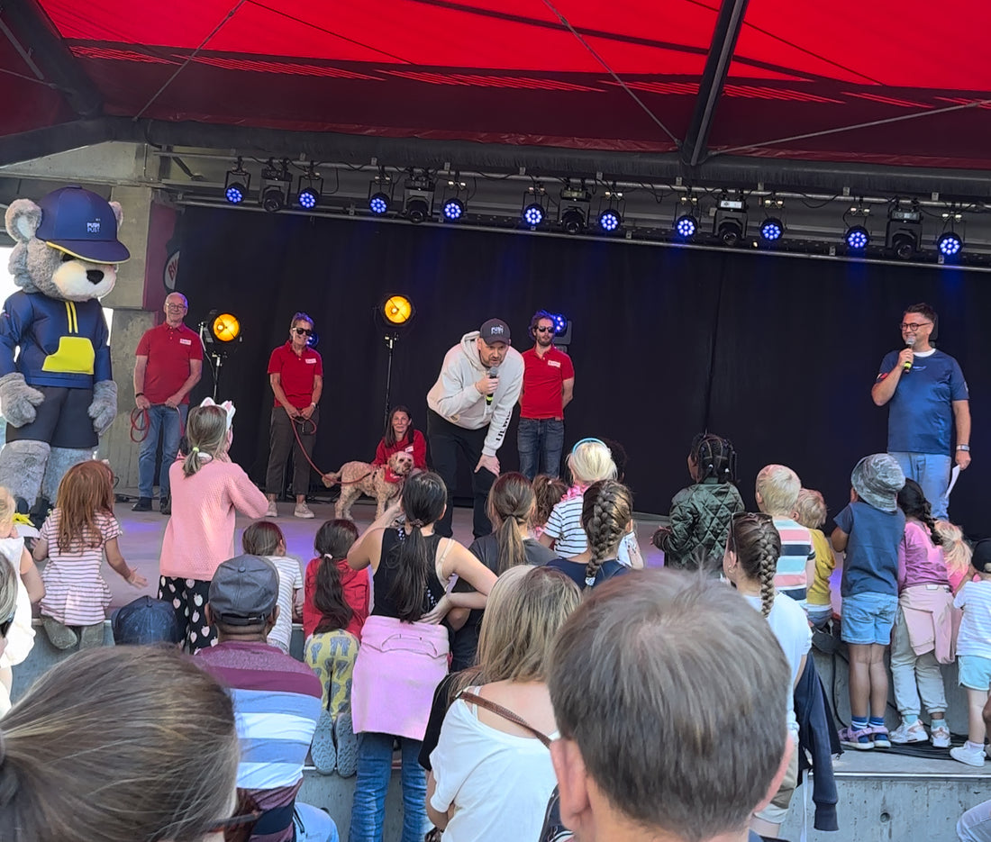 Sandvika Byfest 31.08 - 01.09.24